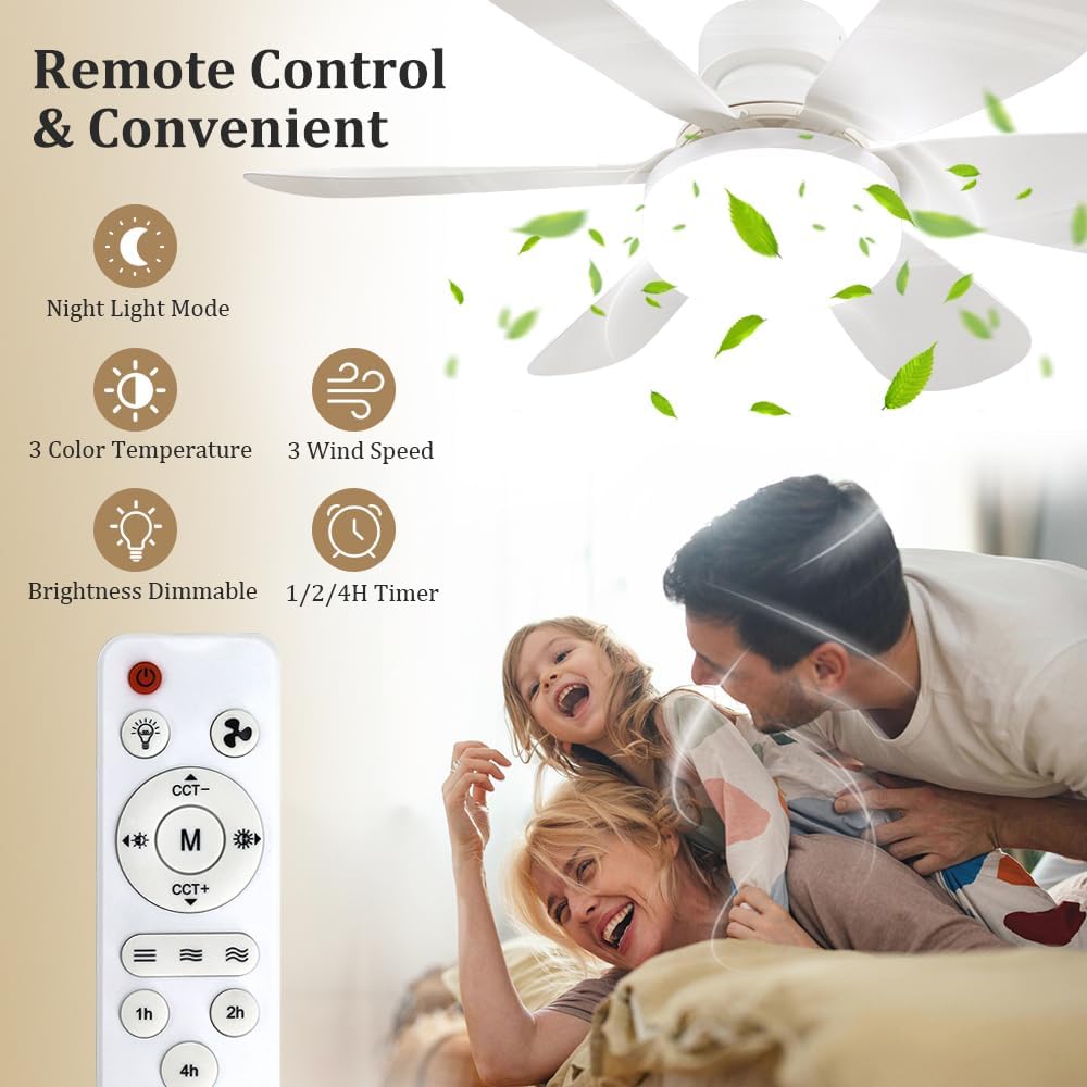 Socket Fan Light with Remote,  - Lighting Decoration For Home 评论和价格